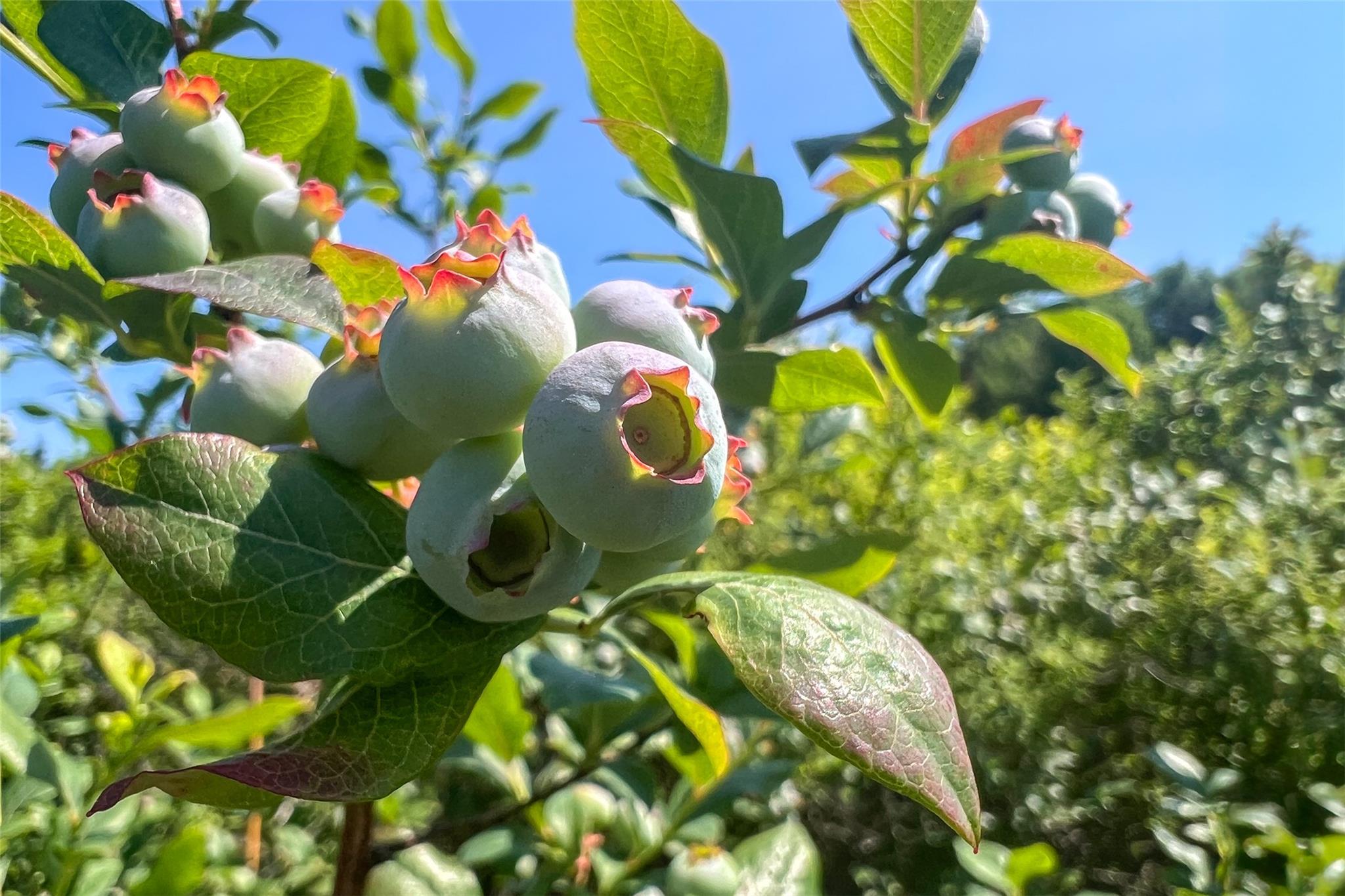 361 Warren Road, Delhi, NY 13753