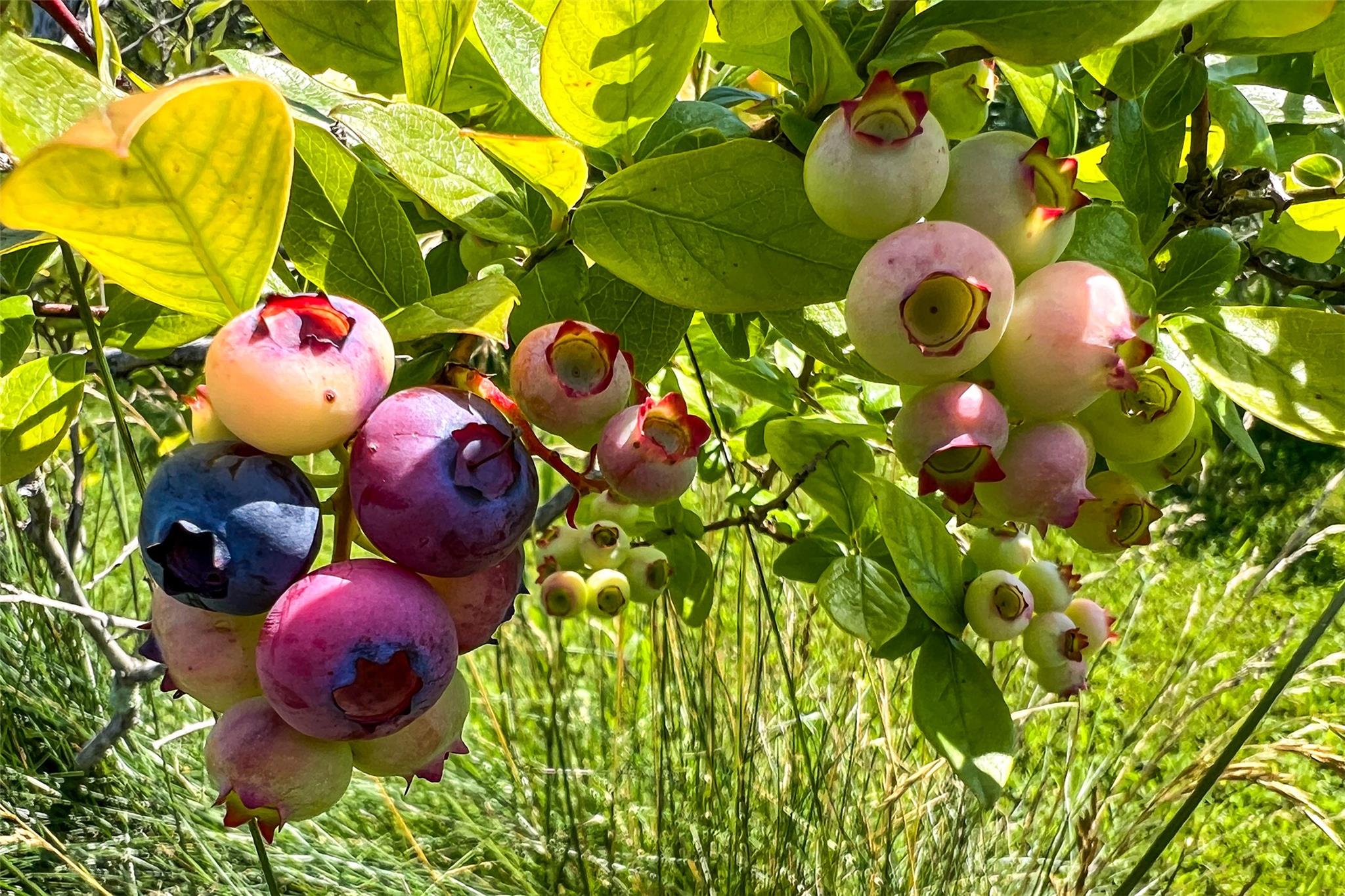 361 Warren Road, Delhi, NY 13753