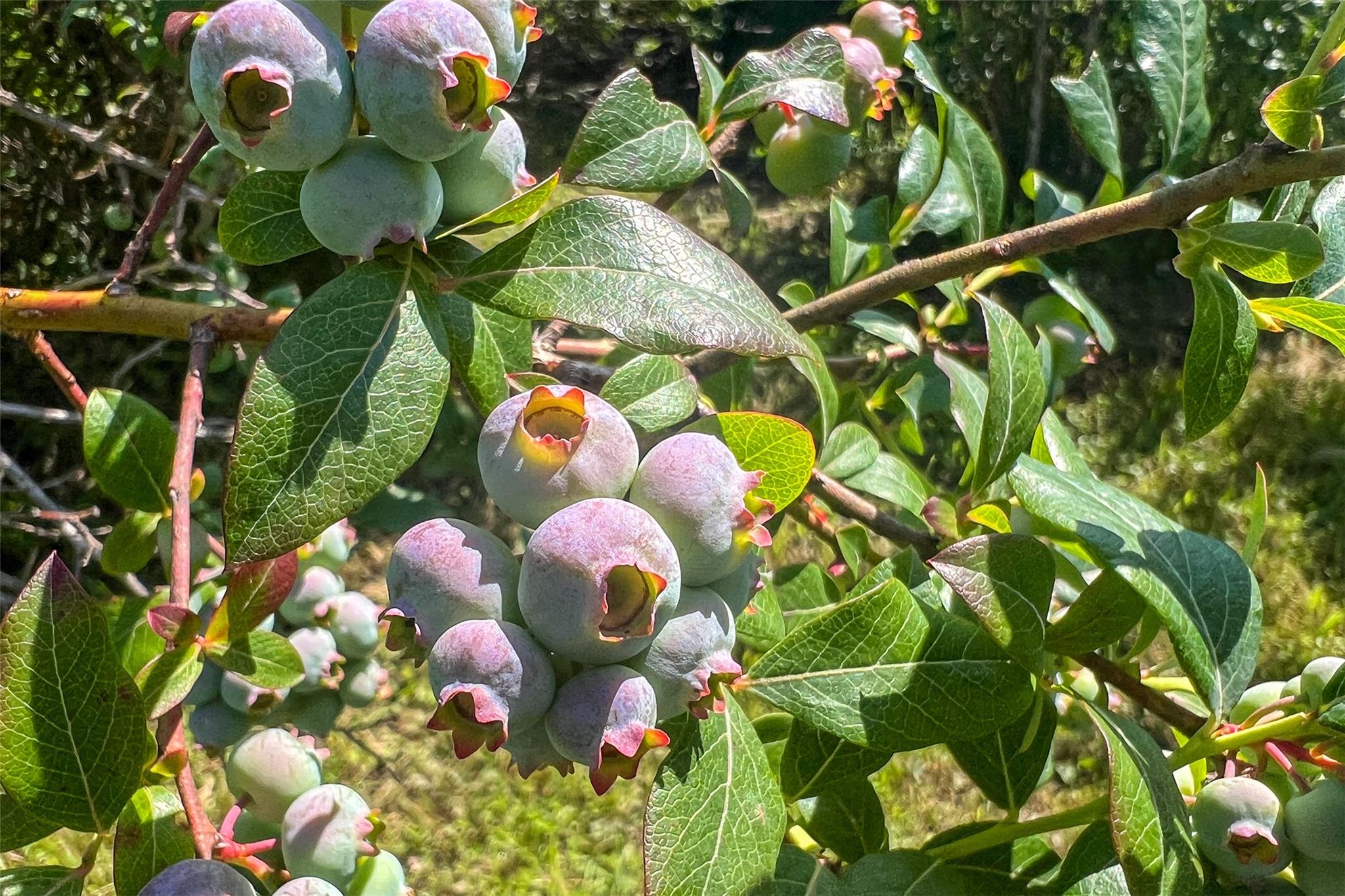 361 Warren Road, Delhi, NY 13753