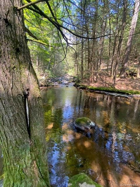 437 Hollow Road, Glen Spey, NY 12737