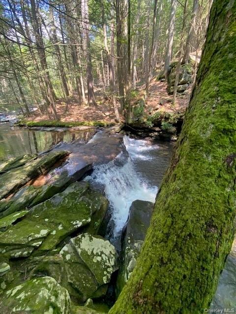 437 Hollow Road, Glen Spey, NY 12737