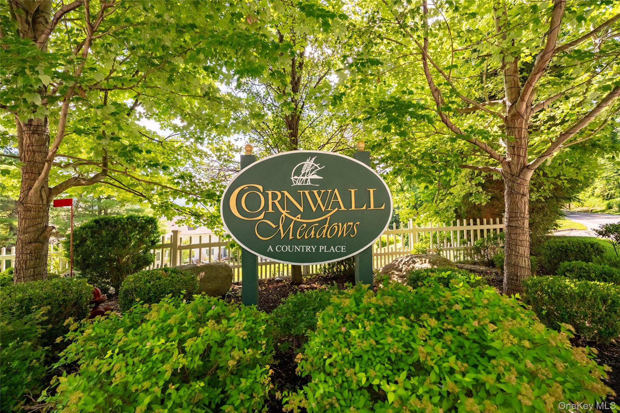 107 Cornwall Meadows Lane # 107, Patterson, NY 12563