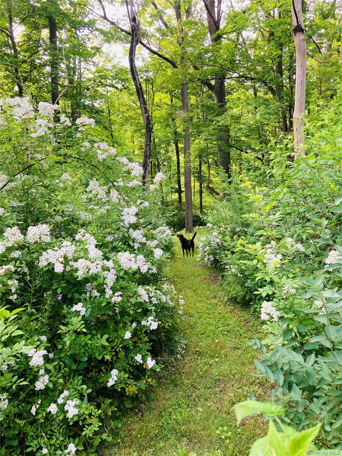 1675 Main Street, Pleasant Valley, NY 12569