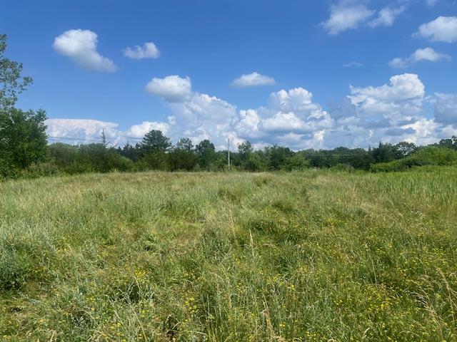 Lot 2 Fairview Avenue, Hudson, NY 12534