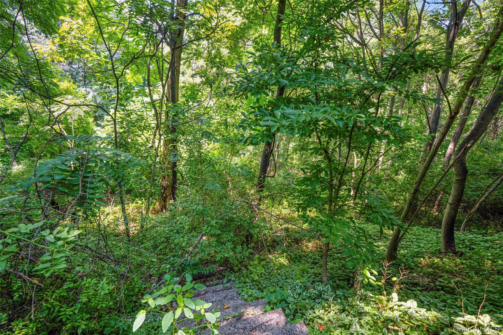 6 Century Ridge Road, Purchase, NY 10577