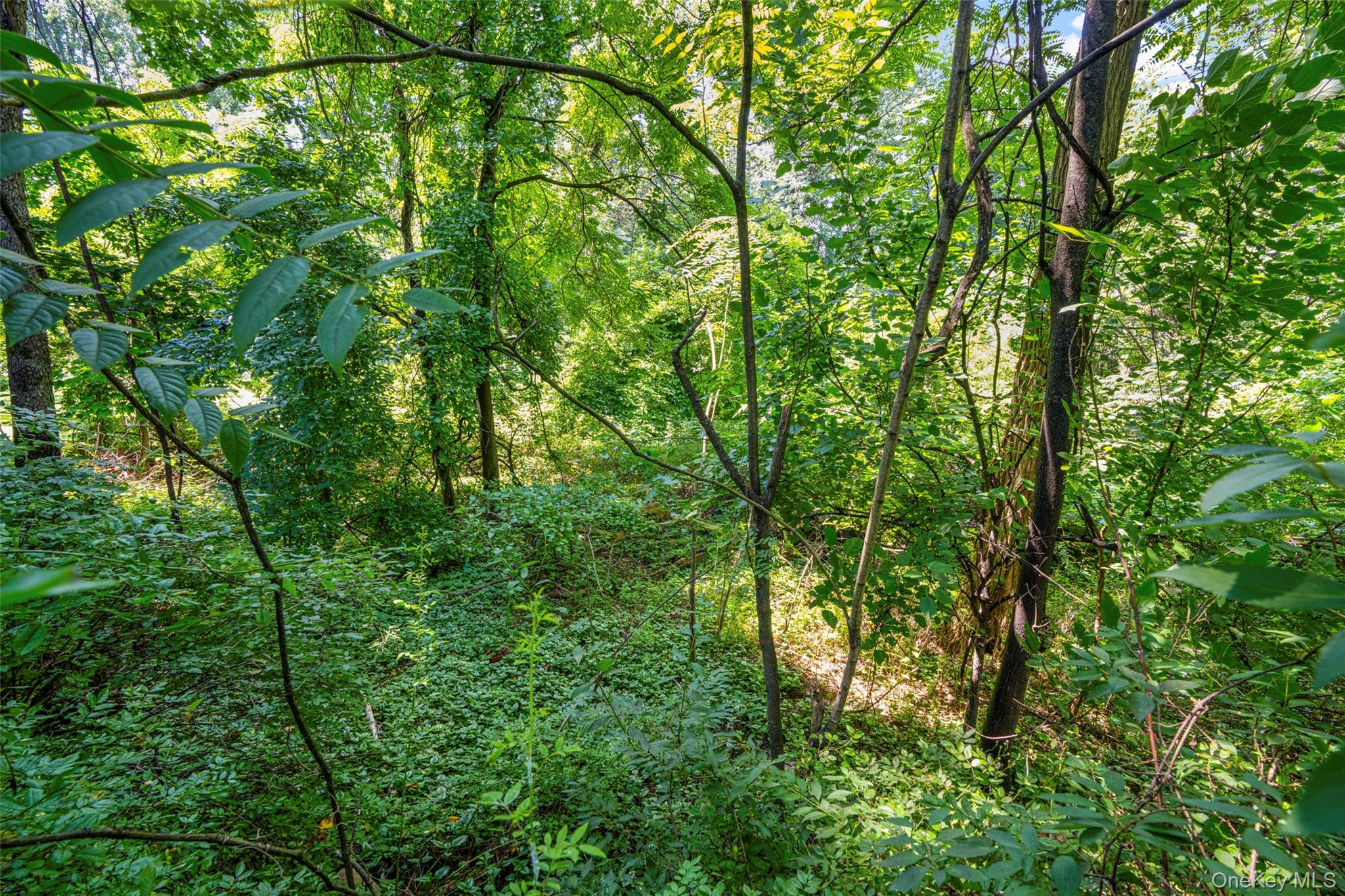 6 Century Ridge Road, Purchase, NY 10577