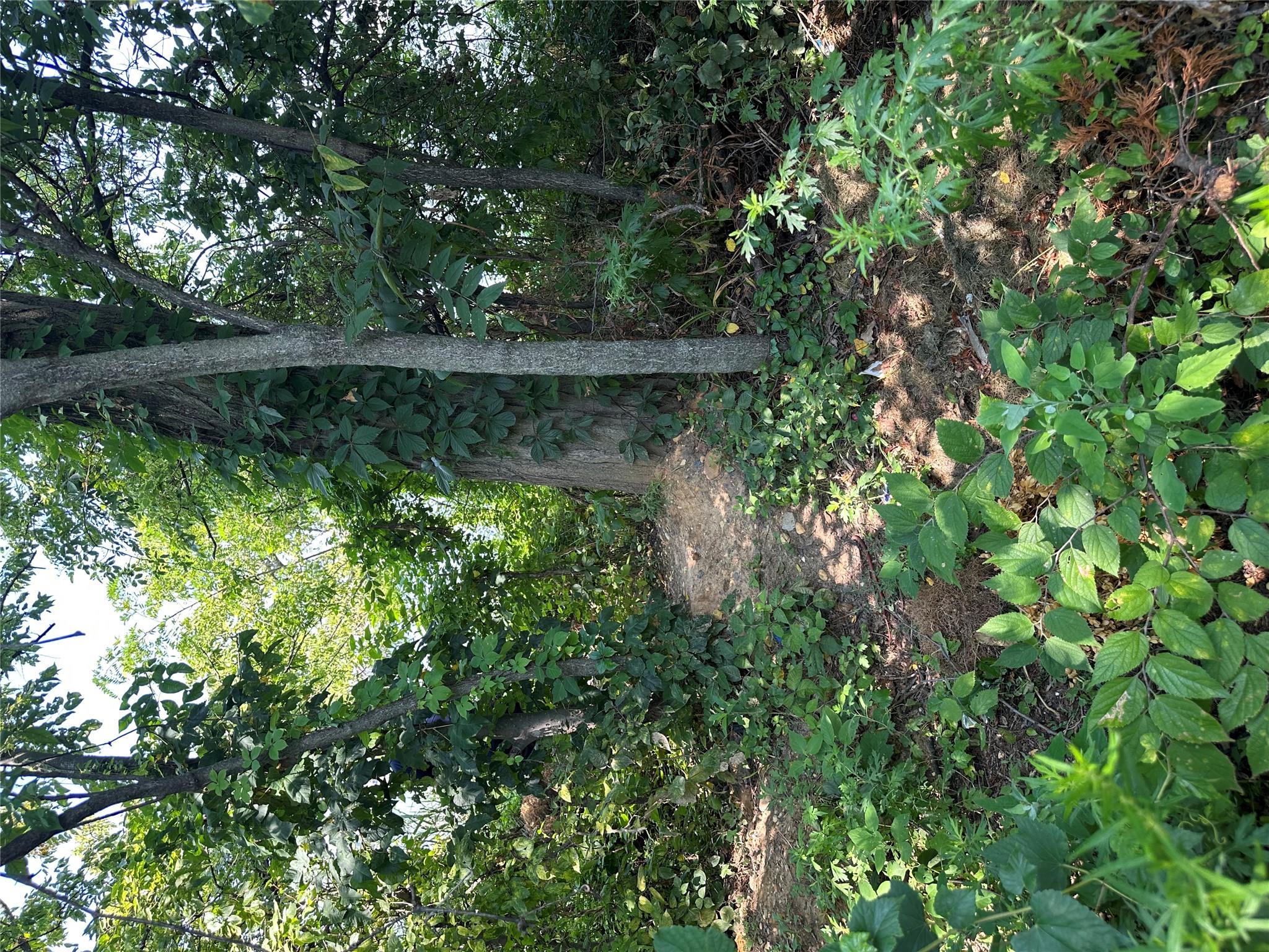 397 Ellis Street, Staten Island, NY