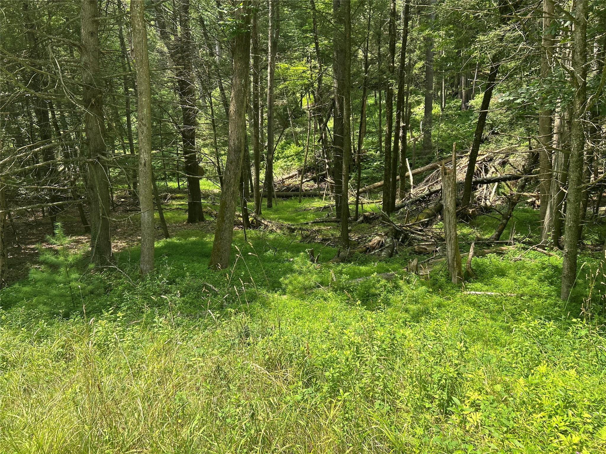 Yulan Barryville Road, Barryville, NY 12719