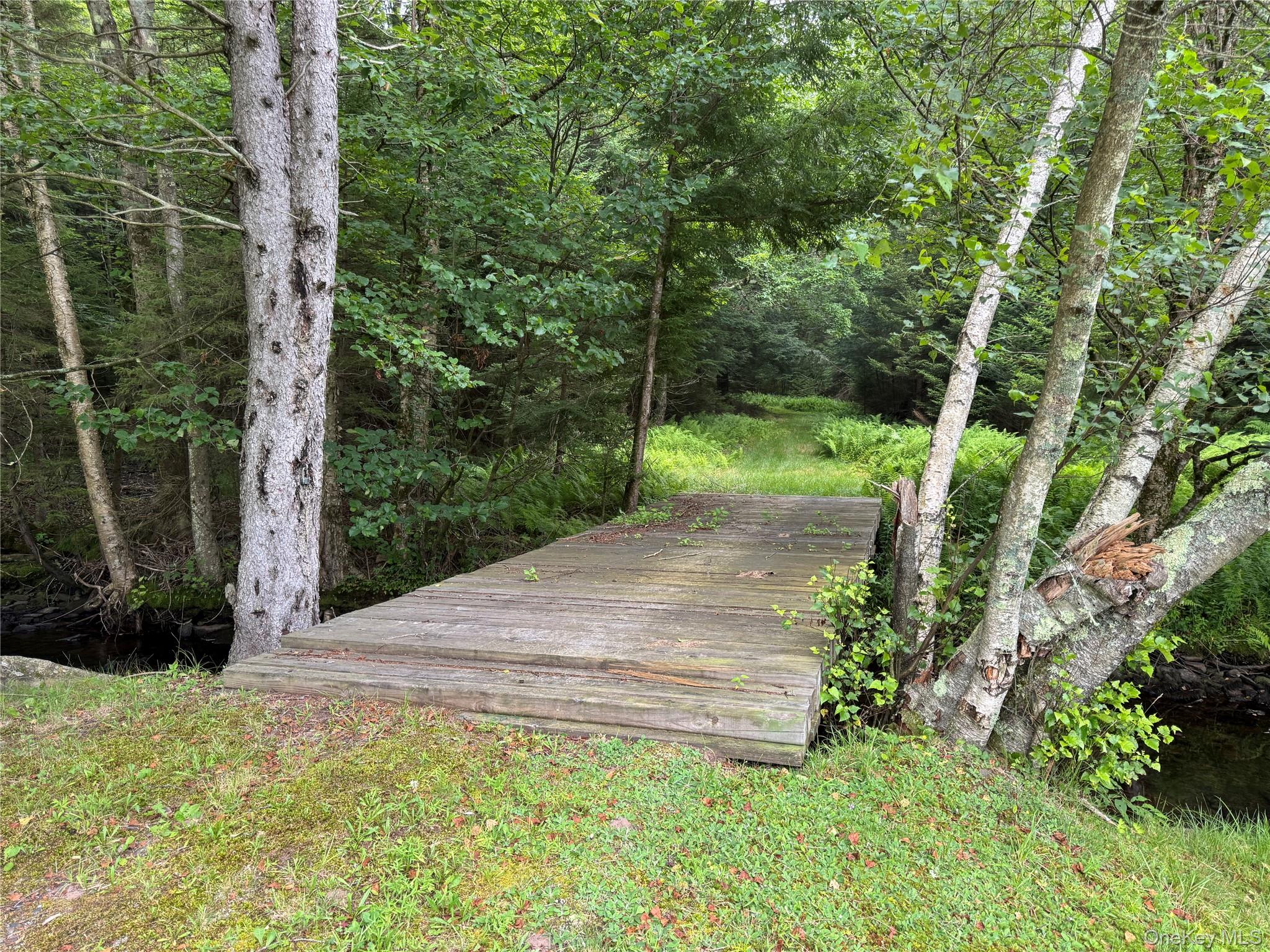 698 Cooley Road, Parksville, NY 12768