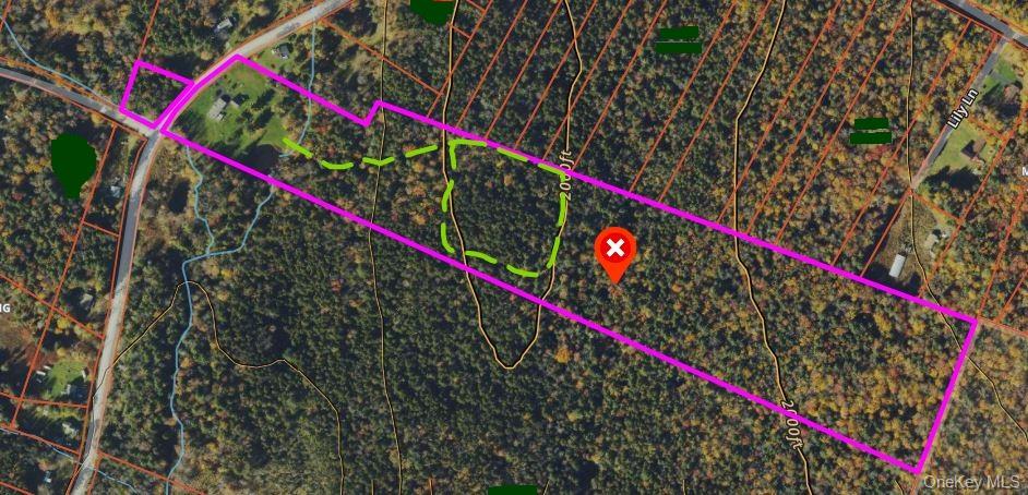 698 Cooley Road, Parksville, NY 12768