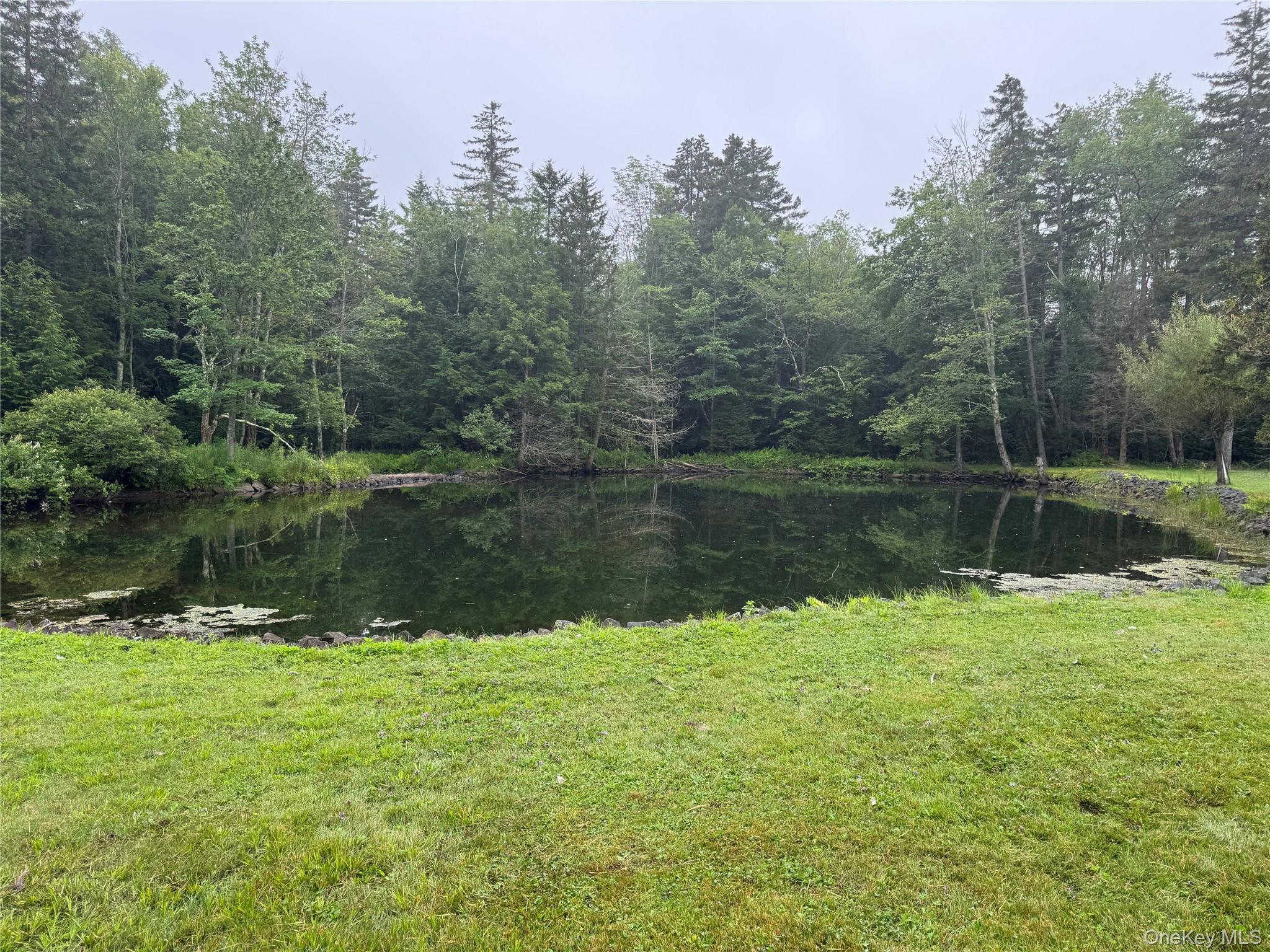 698 Cooley Road, Parksville, NY 12768