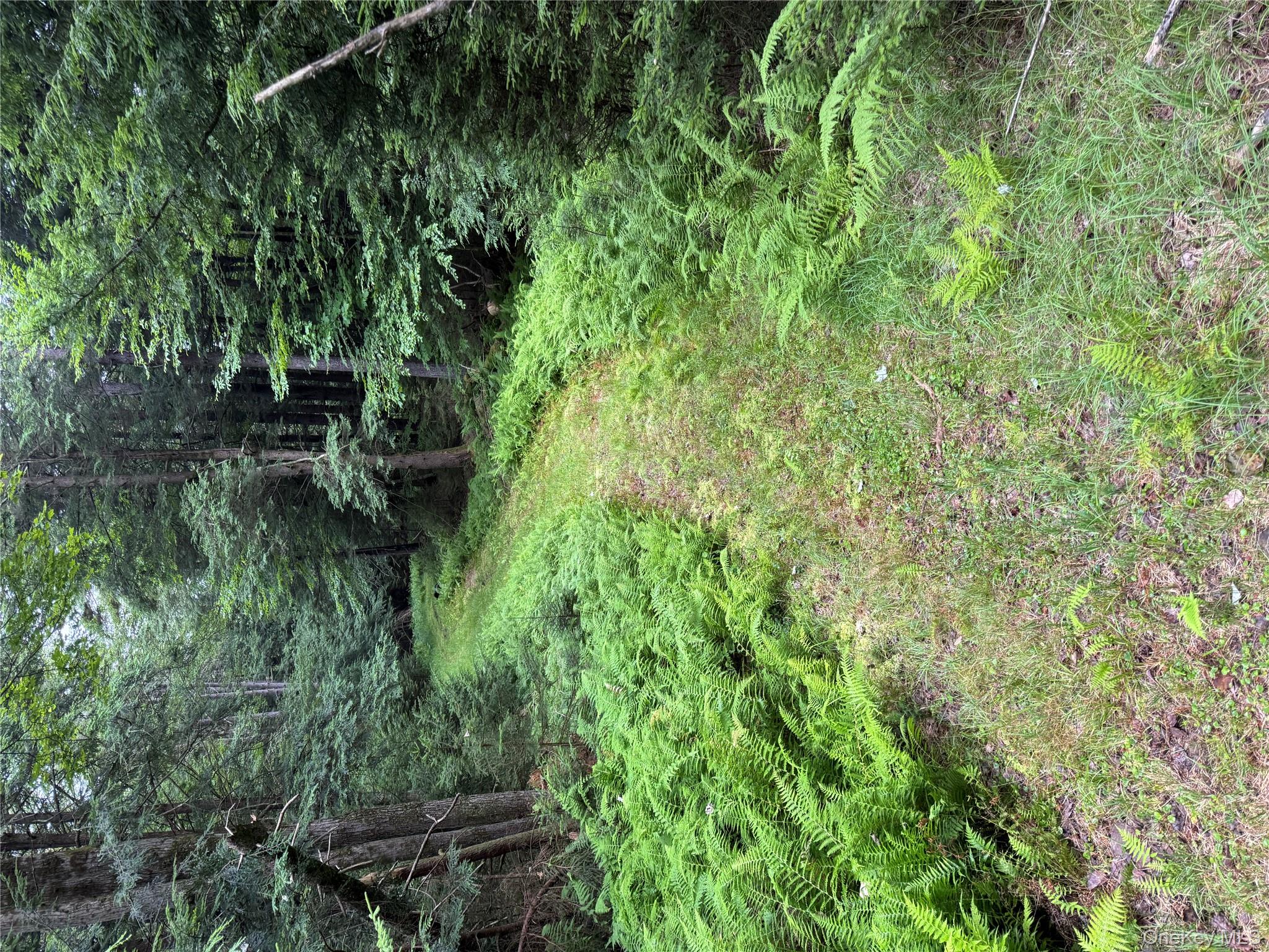 698 Cooley Road, Parksville, NY 12768