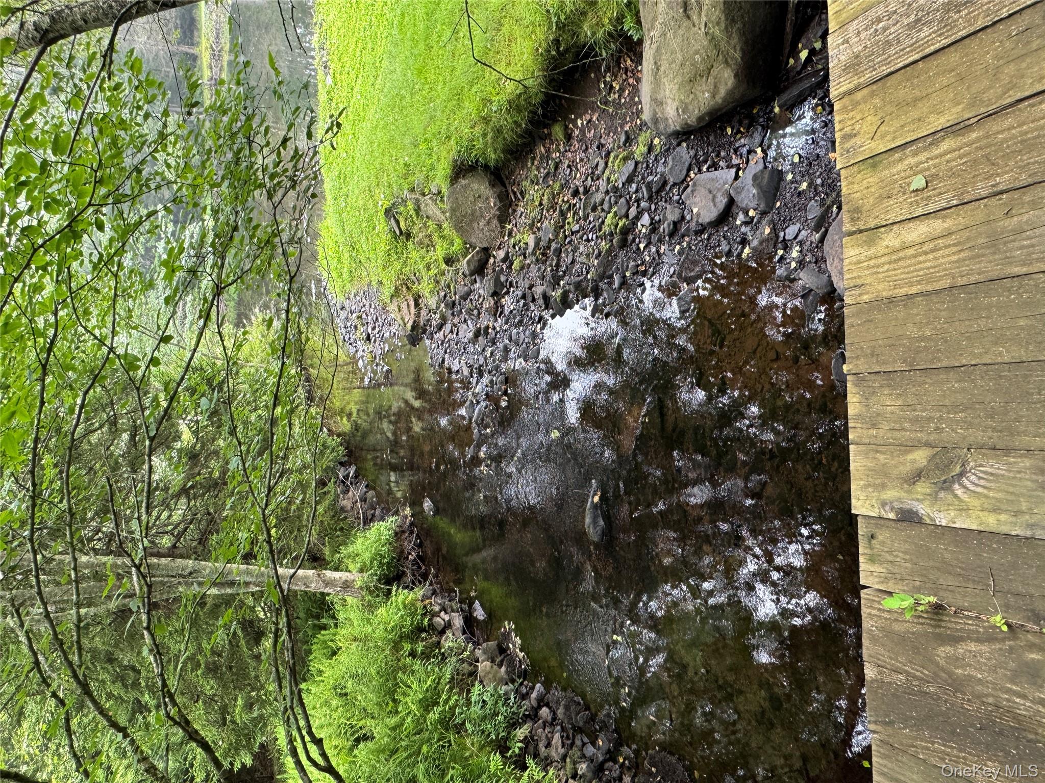 698 Cooley Road, Parksville, NY 12768