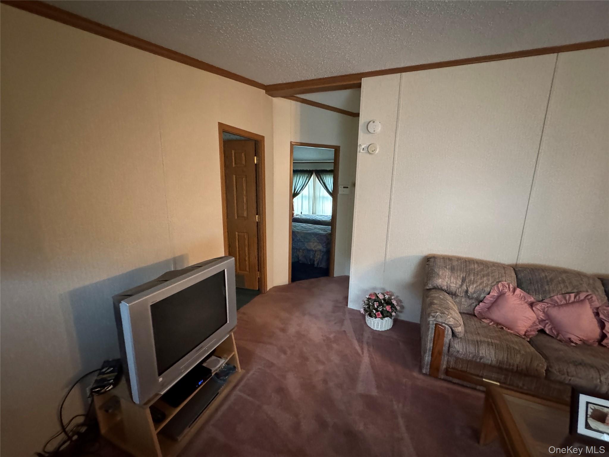 698 Cooley Road, Parksville, NY 12768