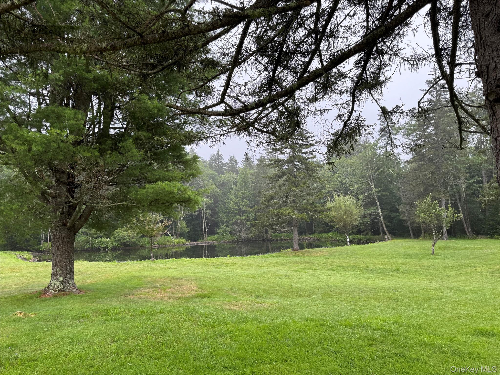 698 Cooley Road, Parksville, NY 12768