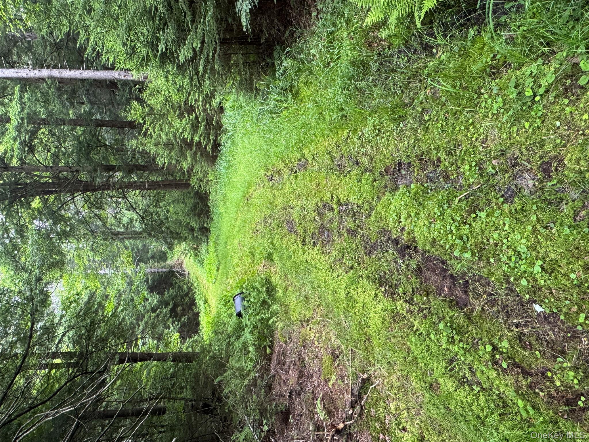 698 Cooley Road, Parksville, NY 12768