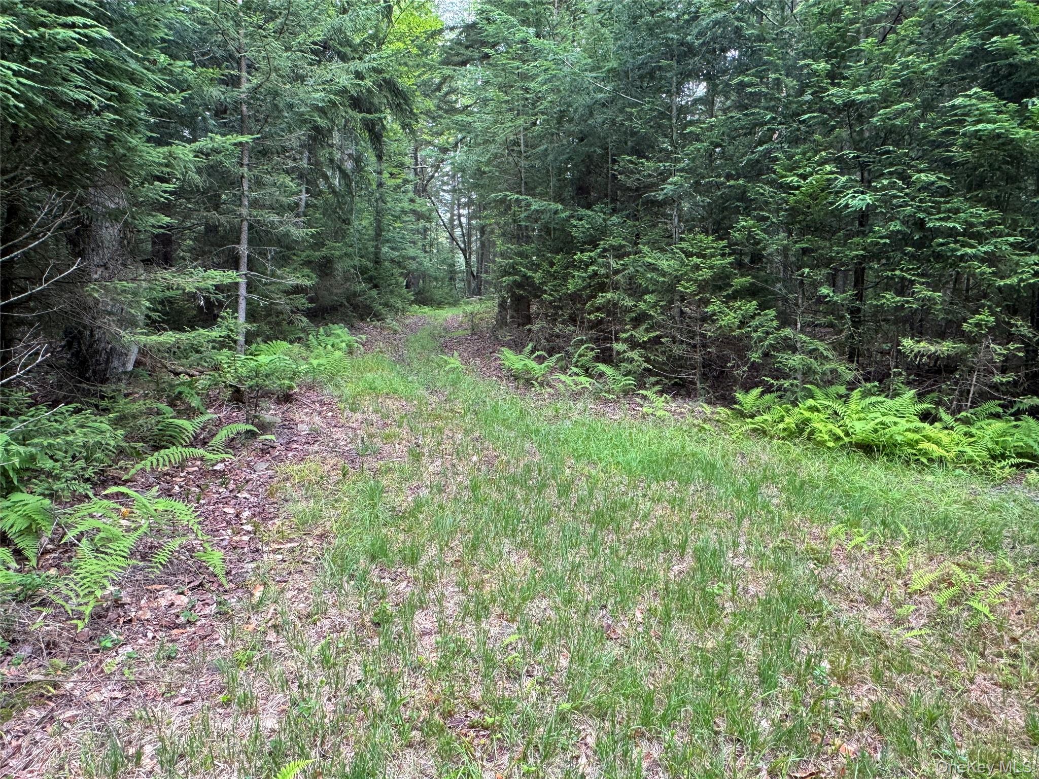 698 Cooley Road, Parksville, NY 12768