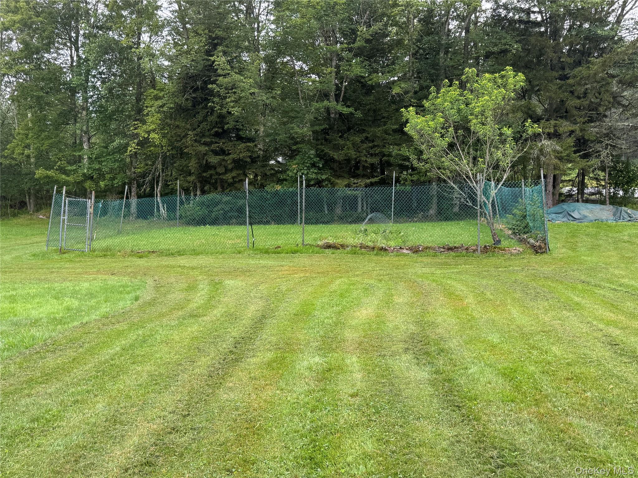 698 Cooley Road, Parksville, NY 12768