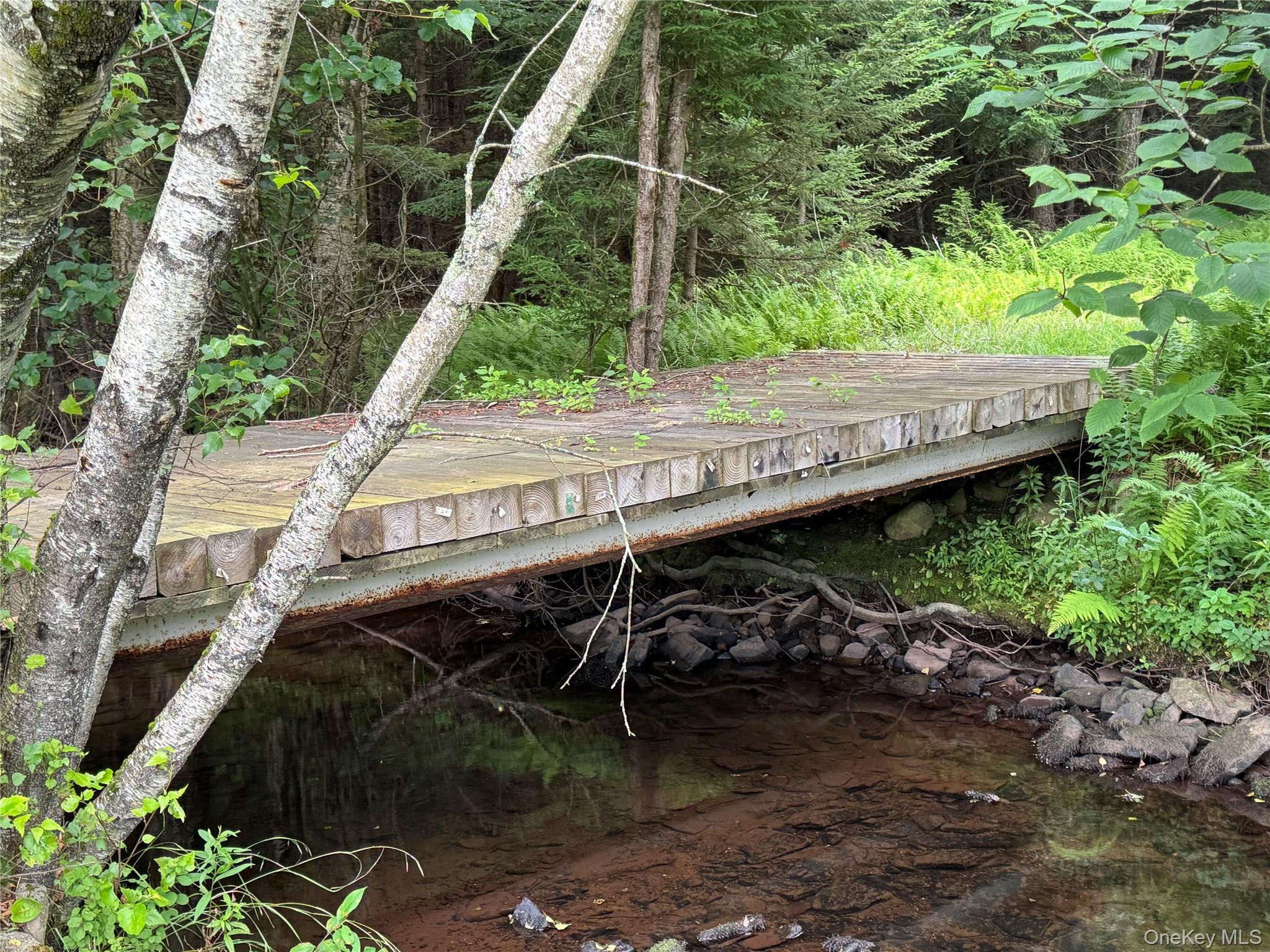 698 Cooley Road, Parksville, NY 12768