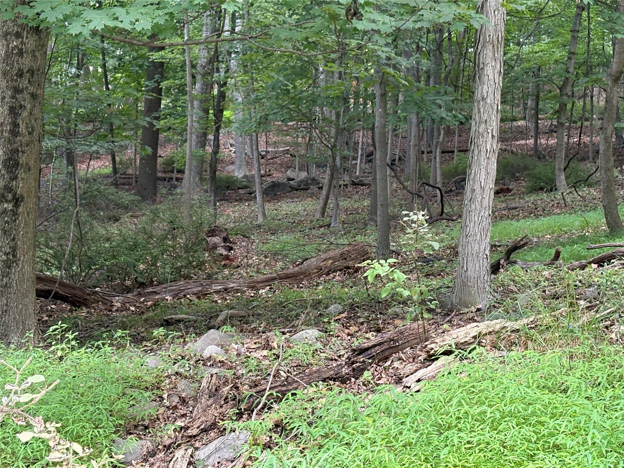 36 Clausland Mountain Road, Blauvelt, NY 10913