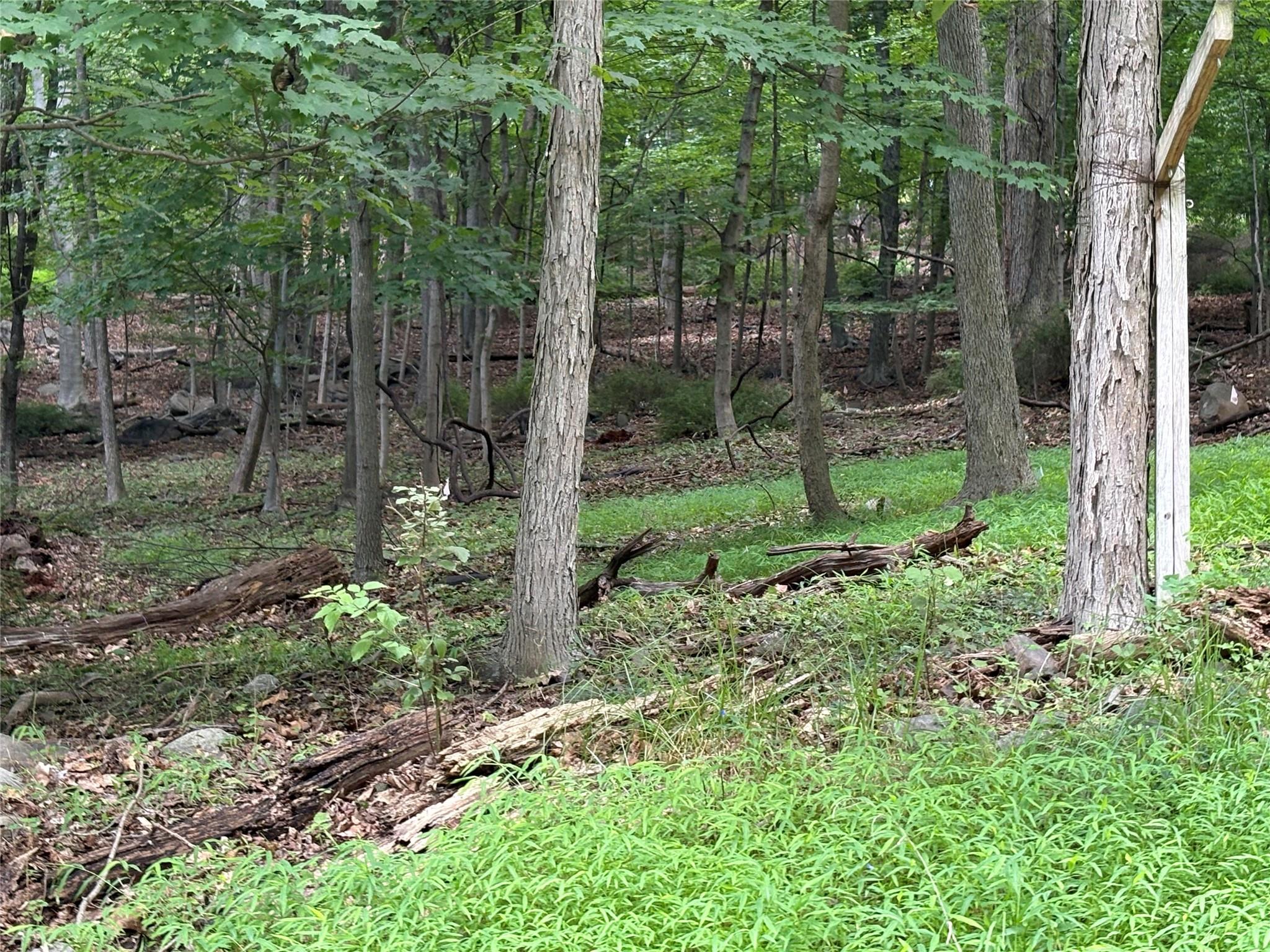 36 Clausland Mountain Road, Blauvelt, NY 10913