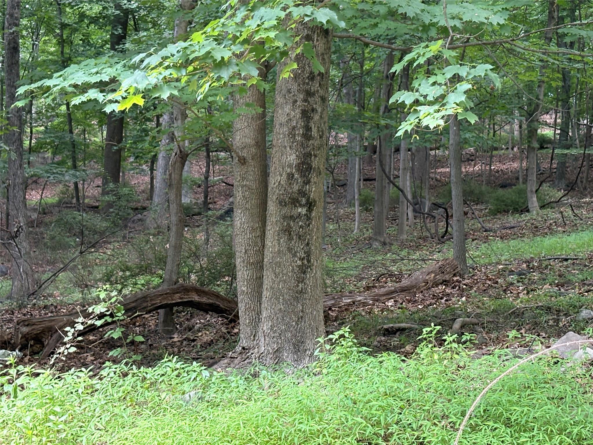 36 Clausland Mountain Road, Blauvelt, NY 10913