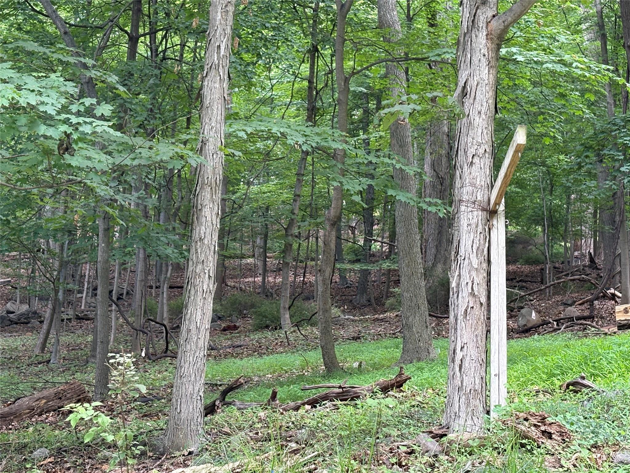 36 Clausland Mountain Road, Blauvelt, NY 10913