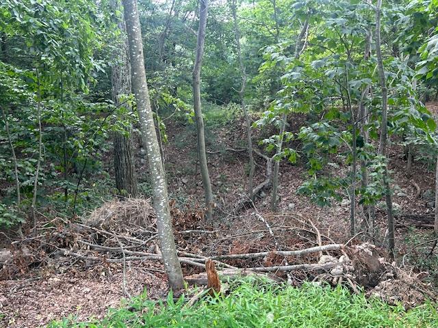 Cragsmoor Road, Pine Bush, NY 12566