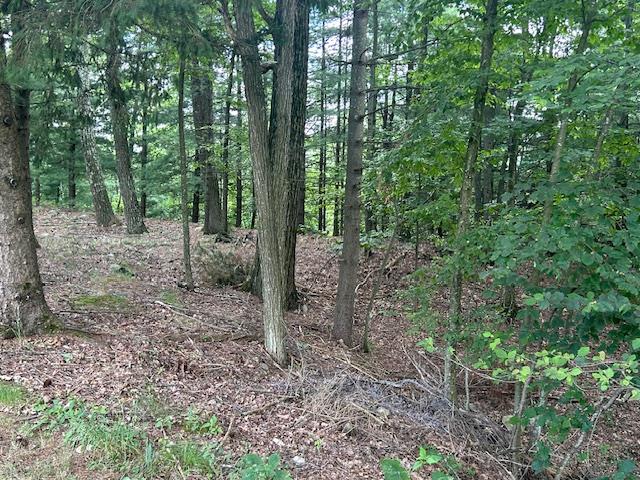 Cragsmoor Road, Pine Bush, NY 12566