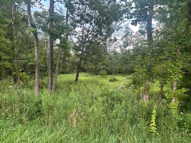 Cragsmoor Road, Pine Bush, NY 12566