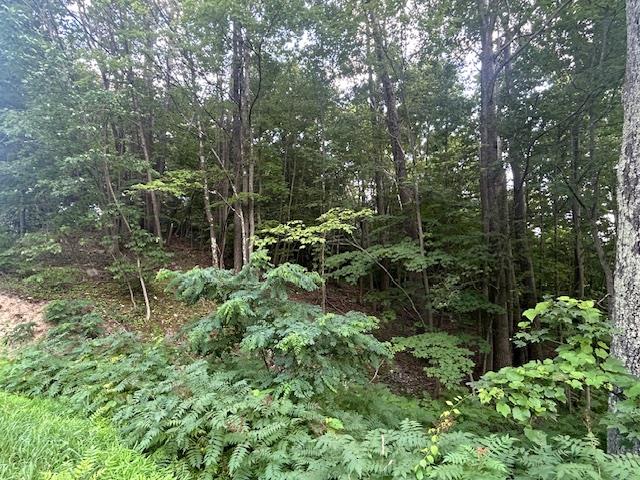 Cragsmoor Road, Pine Bush, NY 12566