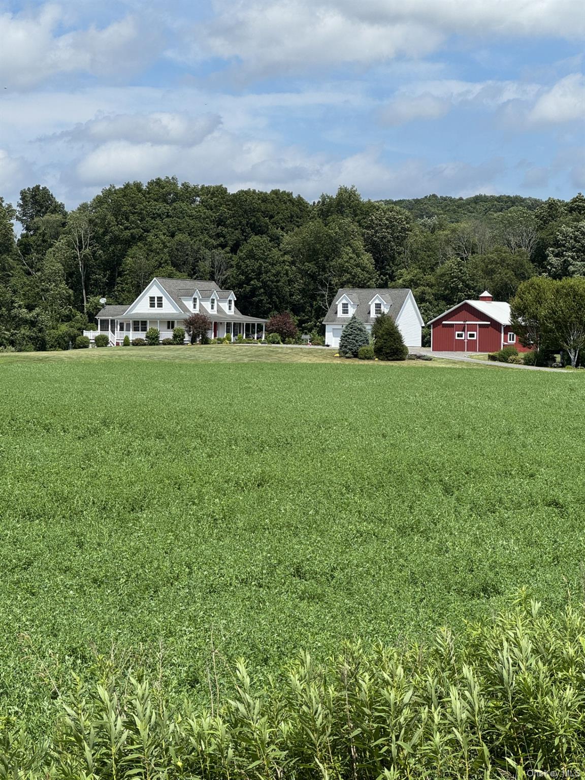 420 Roche Drive, ANCRAMDALE, NY 12503