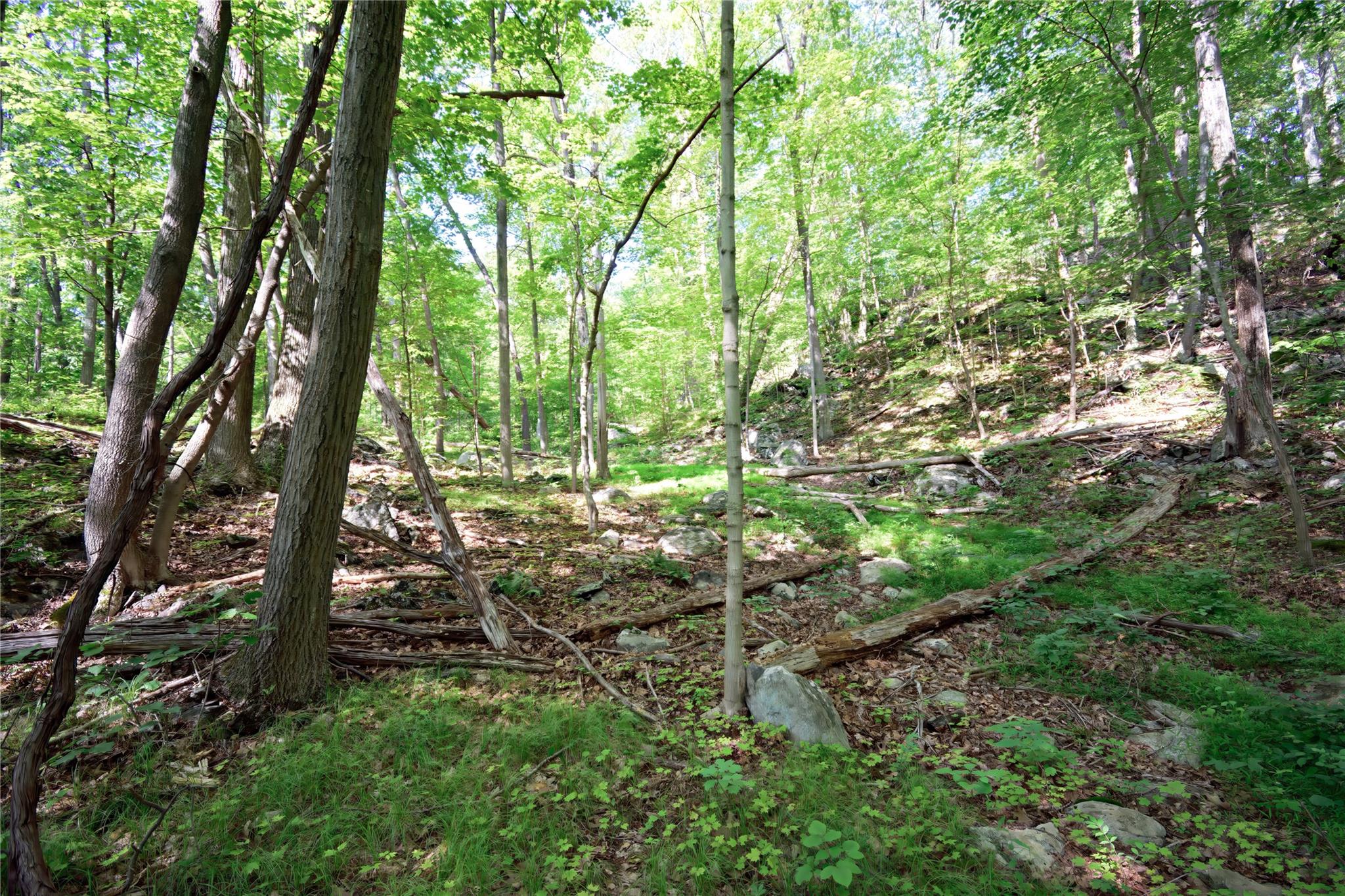 727 Farmers Mills Road, Carmel, NY 10512