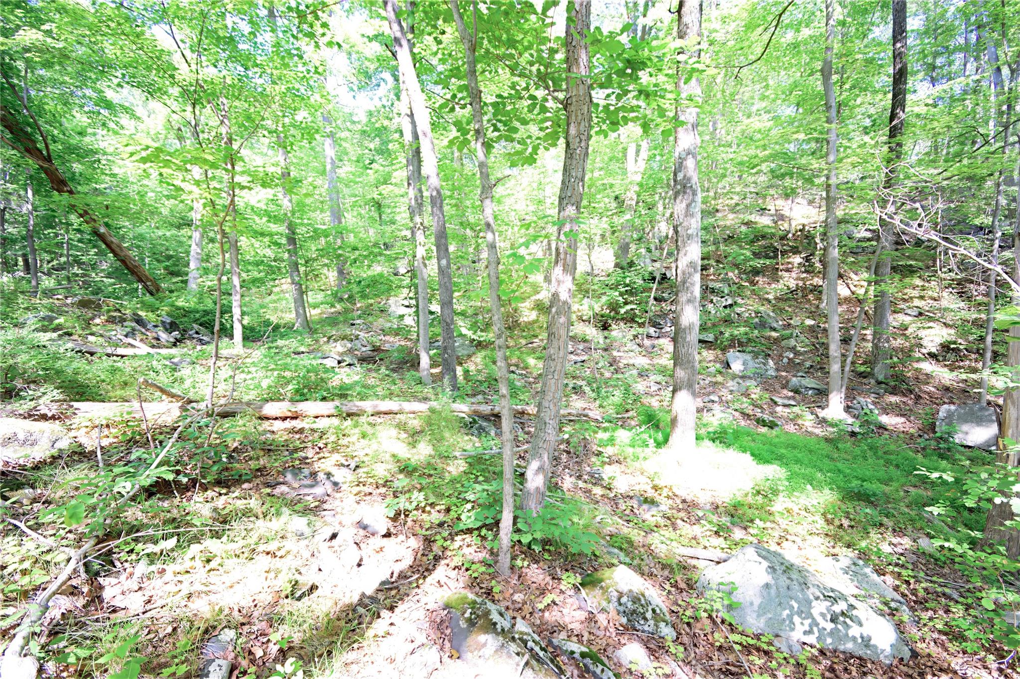 727 Farmers Mills Road, Carmel, NY 10512