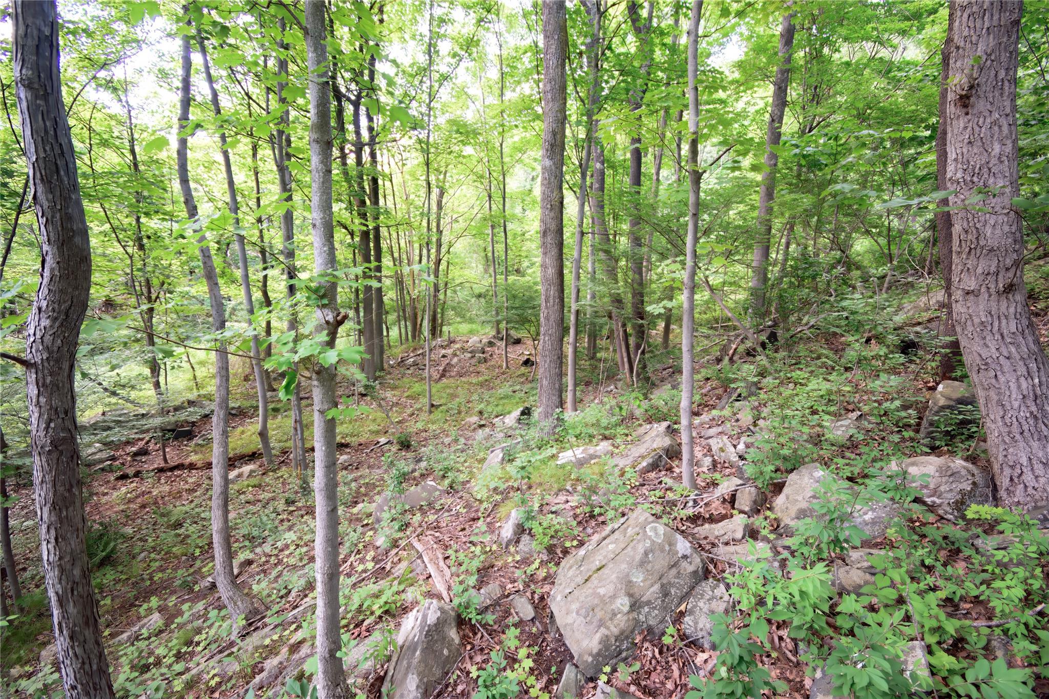 727 Farmers Mills Road, Carmel, NY 10512