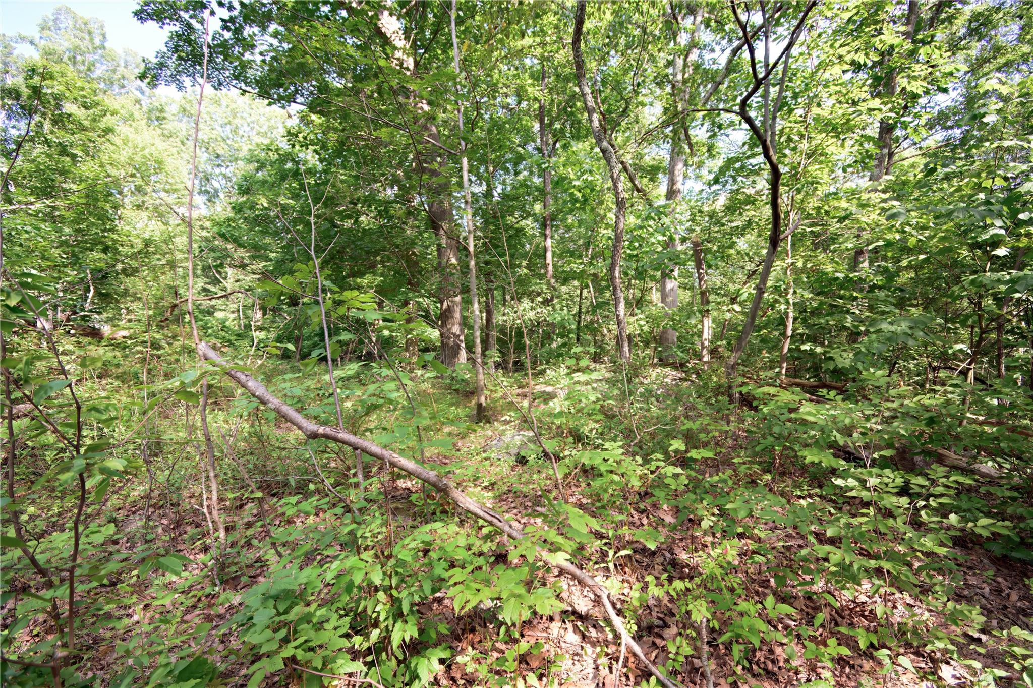 727 Farmers Mills Road, Carmel, NY 10512