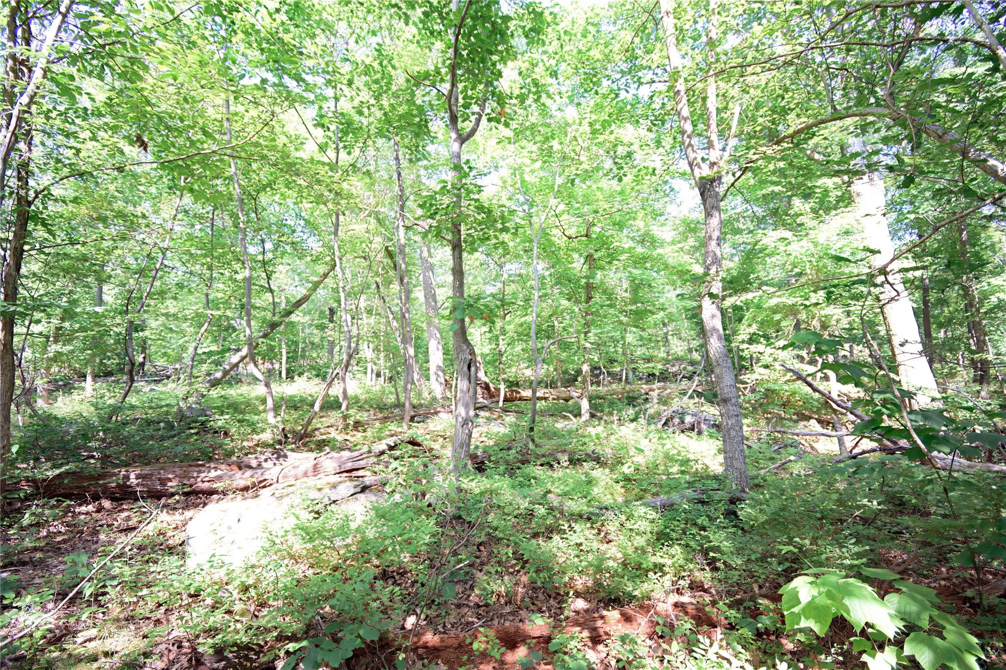 727 Farmers Mills Road, Carmel, NY 10512