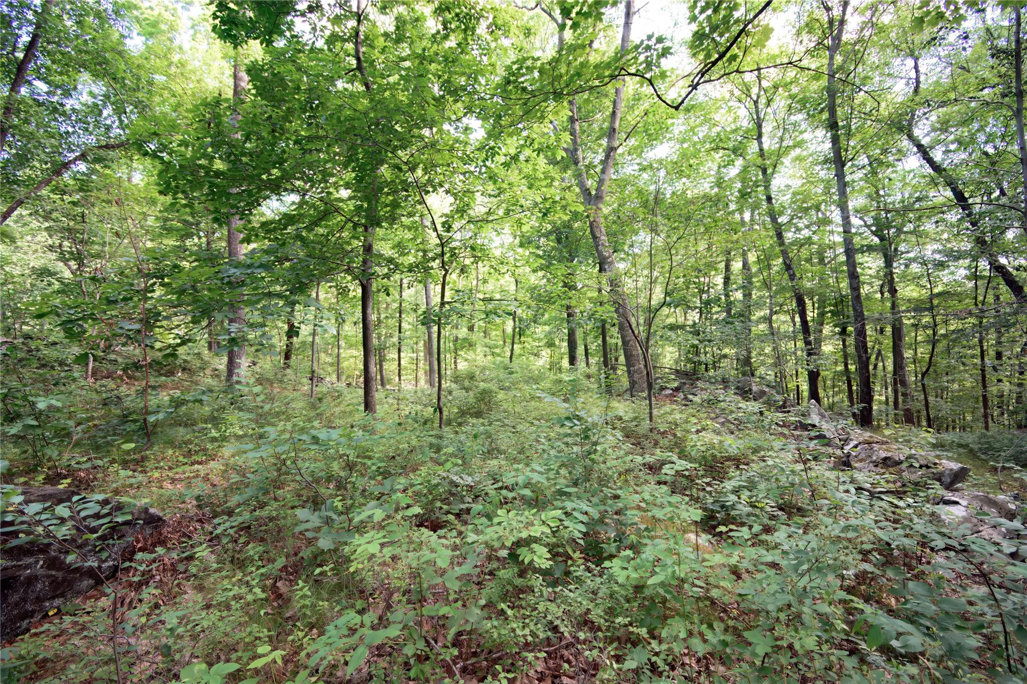 727 Farmers Mills Road, Carmel, NY 10512