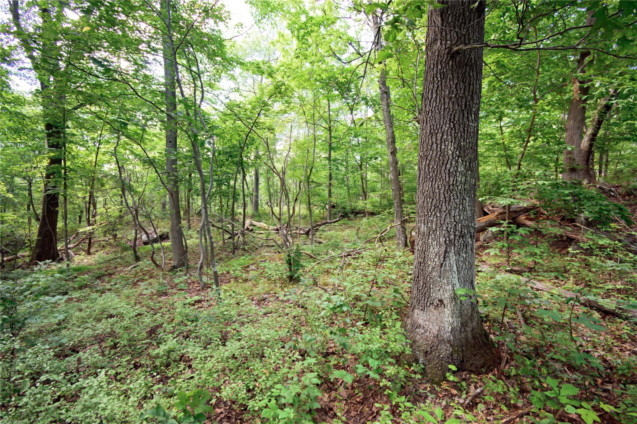 727 Farmers Mills Road, Carmel, NY 10512