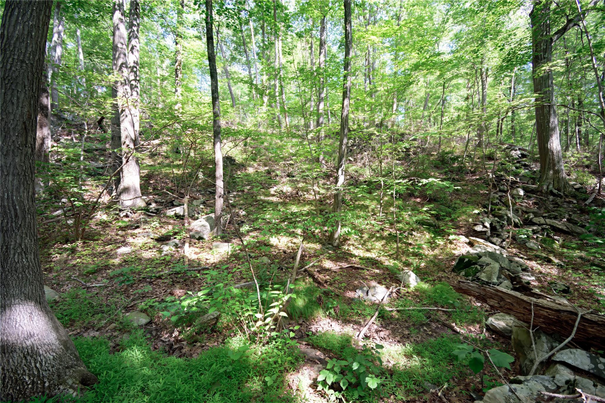 727 Farmers Mills Road, Carmel, NY 10512