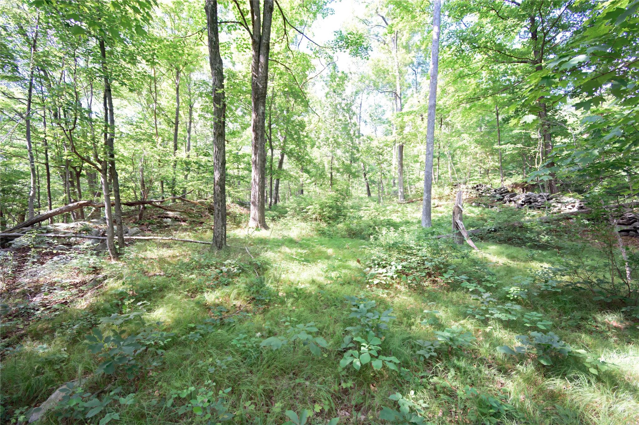 727 Farmers Mills Road, Carmel, NY 10512