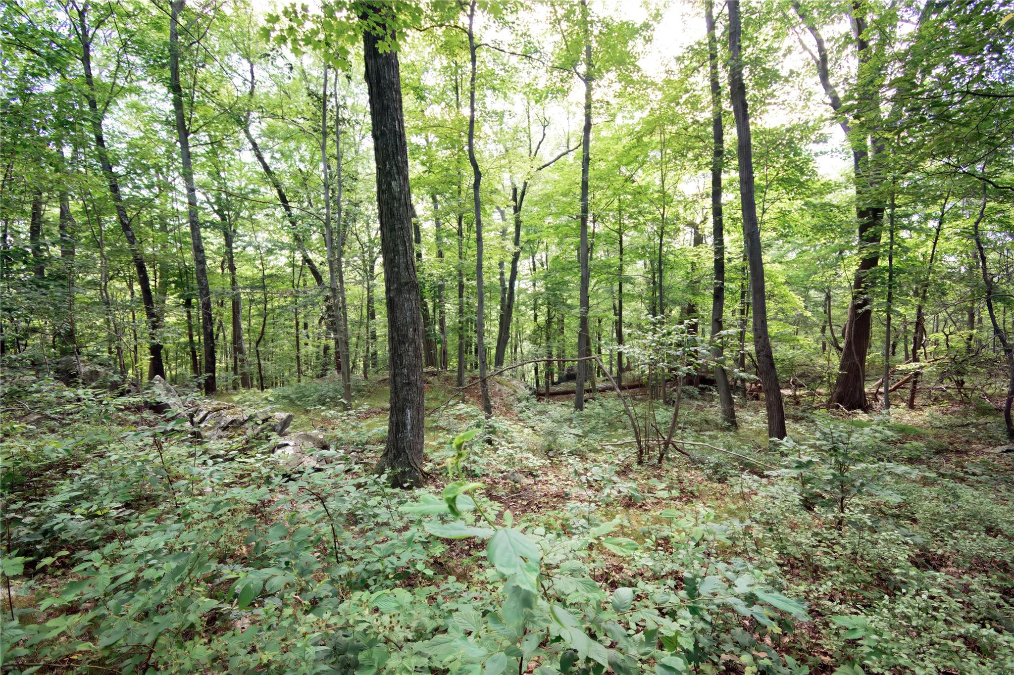 727 Farmers Mills Road, Carmel, NY 10512