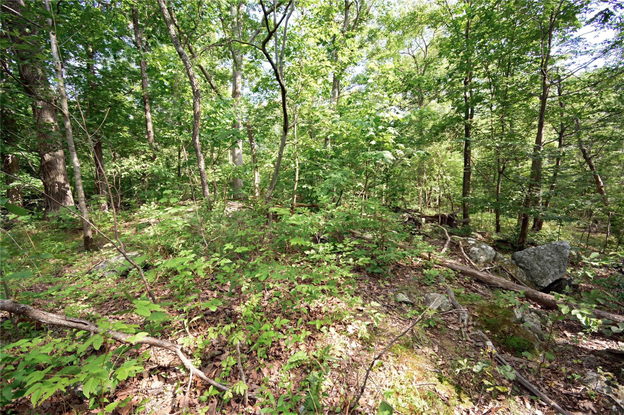 727 Farmers Mills Road, Carmel, NY 10512