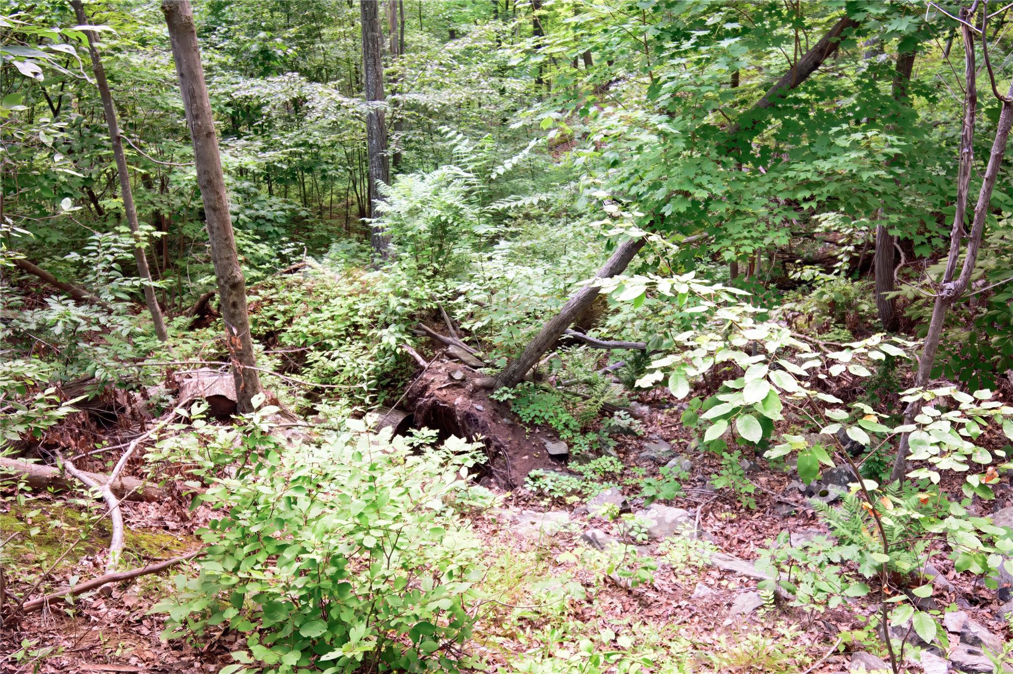 727 Farmers Mills Road, Carmel, NY 10512