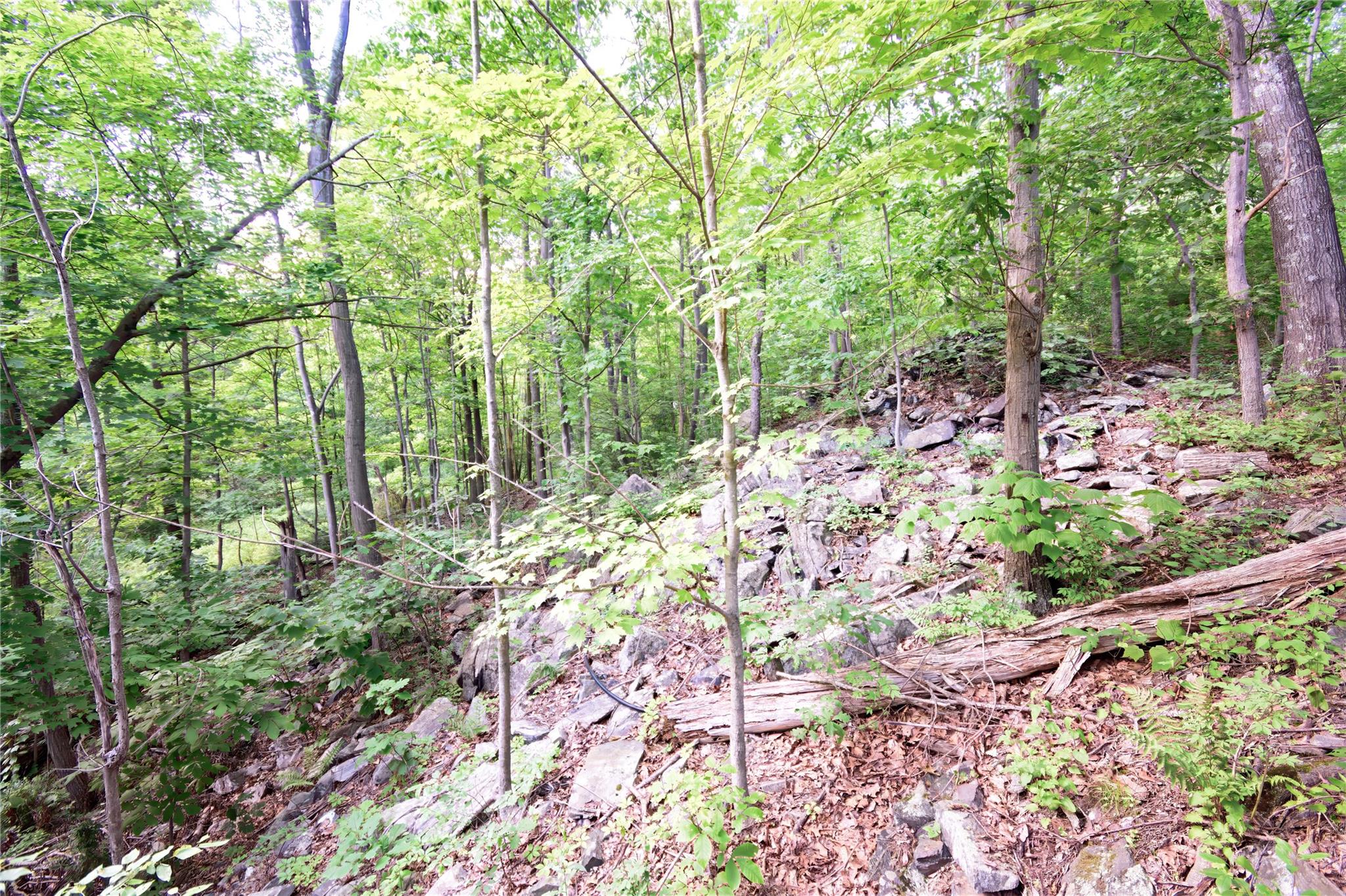 727 Farmers Mills Road, Carmel, NY 10512