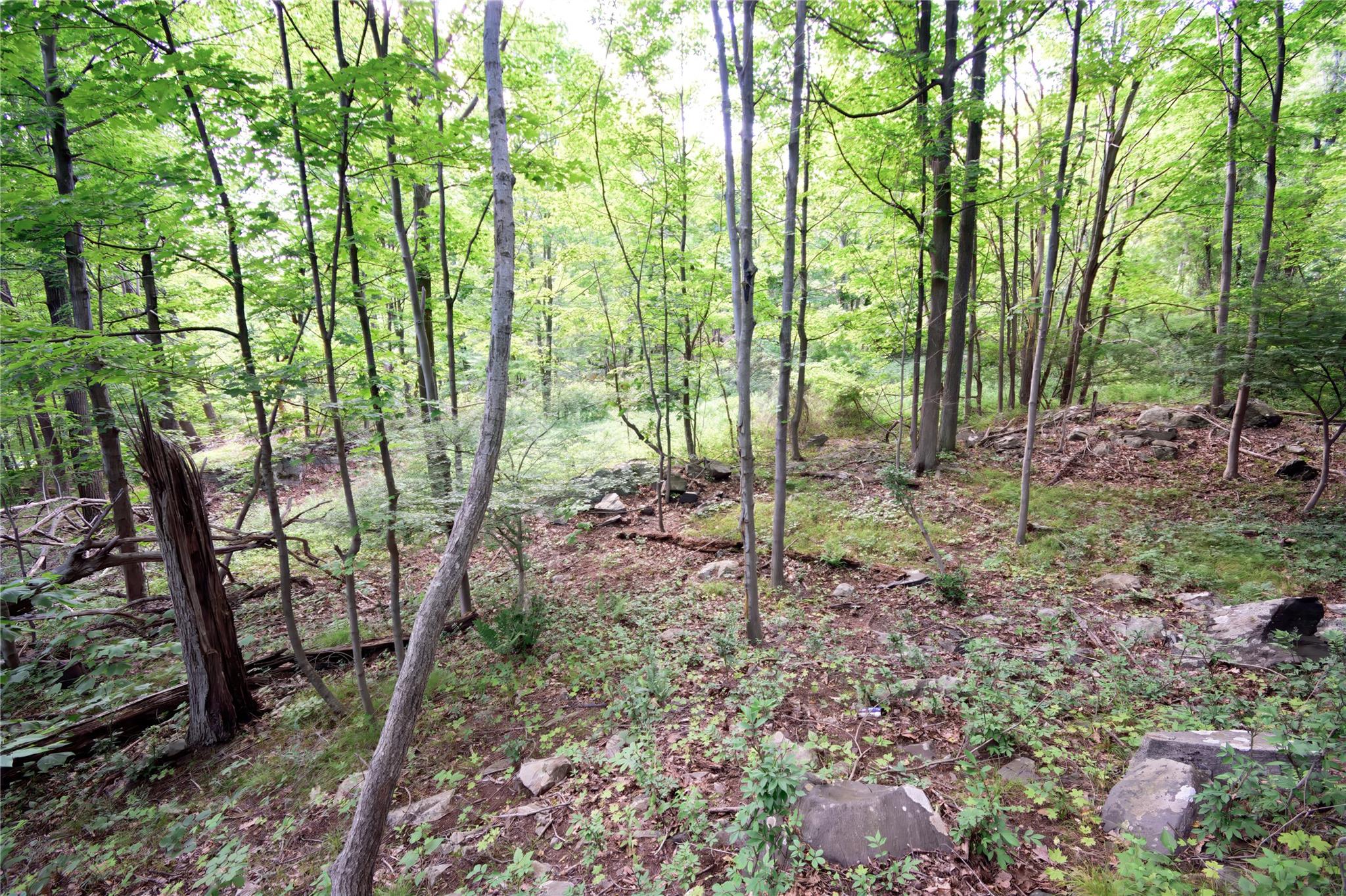 727 Farmers Mills Road, Carmel, NY 10512