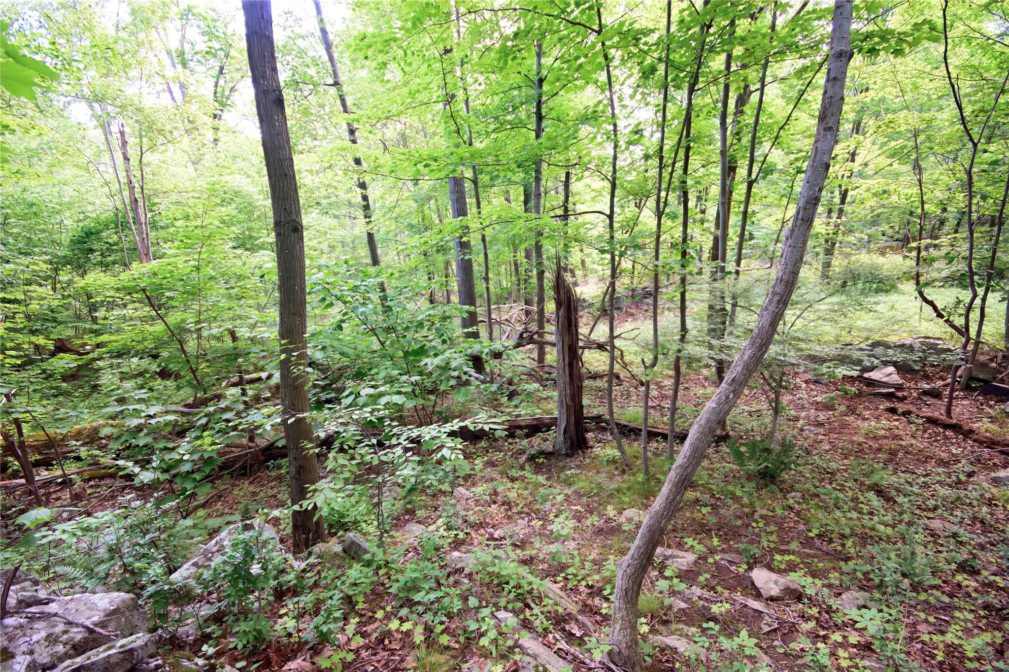 727 Farmers Mills Road, Carmel, NY 10512