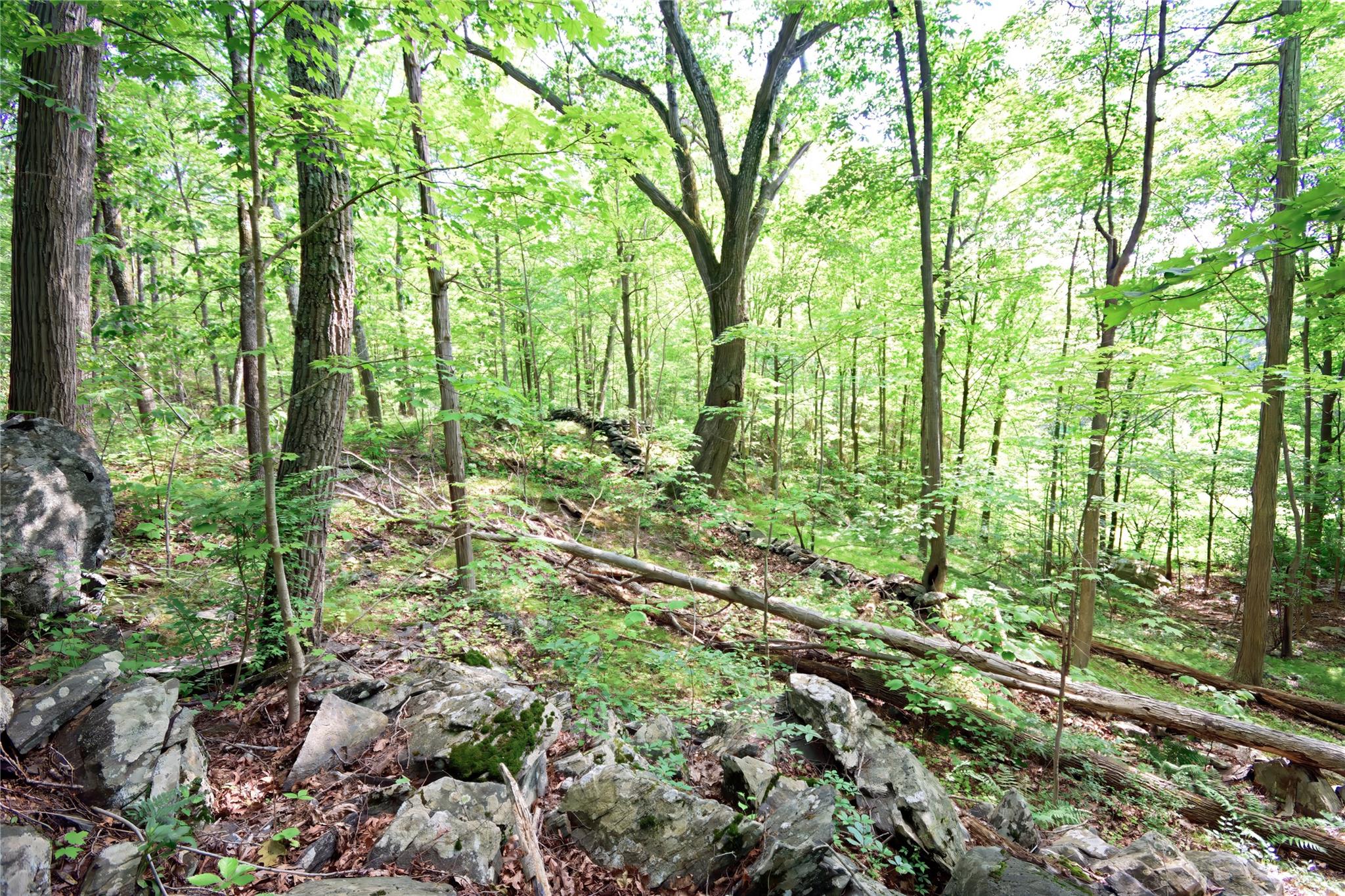 727 Farmers Mills Road, Carmel, NY 10512