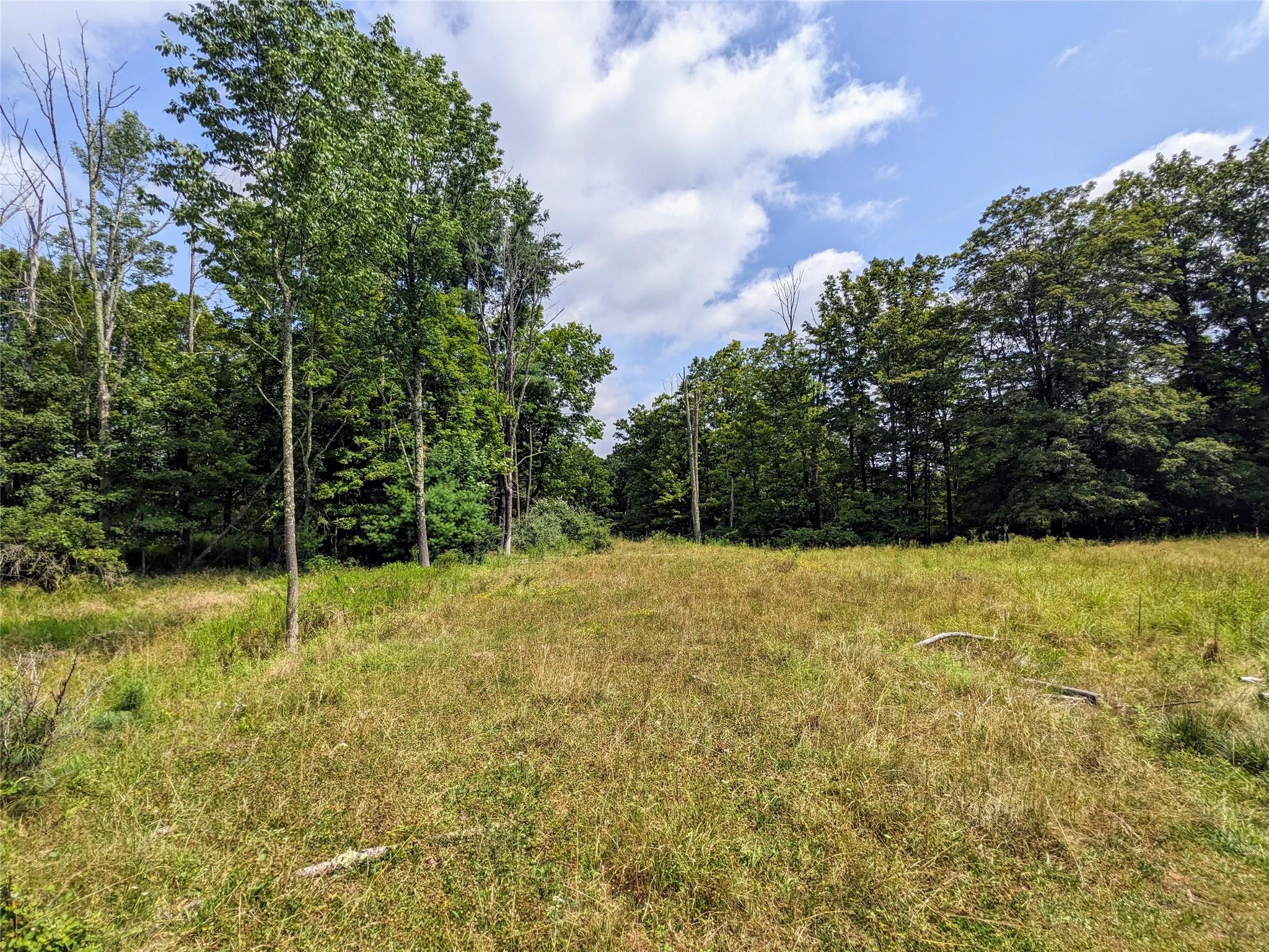 State Route 55, Kauneonga Lake, NY 12720