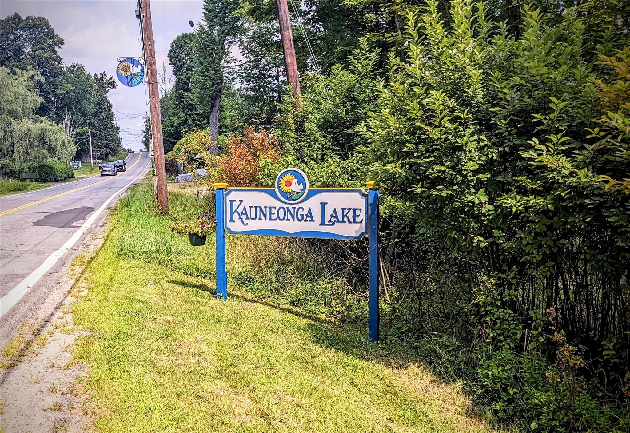State Route 55, Kauneonga Lake, NY 12720